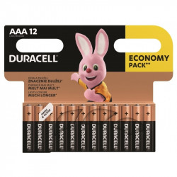 Батарейk Duracell Basic, AAA, LR03 (12)