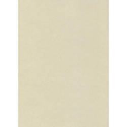 Дизайнерская бумага Kreska W73 A4/10л. Цвет - бежевый (перламутровый)