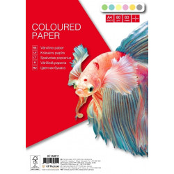 Krāsains papīrs College A4, 60 loksnes, 6 pasteļtoņos x 10