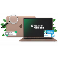 Notebook|RENEWD|MacBook Air|1600 MHz|13.3"|2560x1600|RAM 8GB|SSD 256GB|Intel UHD Graphics 617|Integrated|ENG|macOS Mojave|Gold|1.25 kg|RND-MVFN2